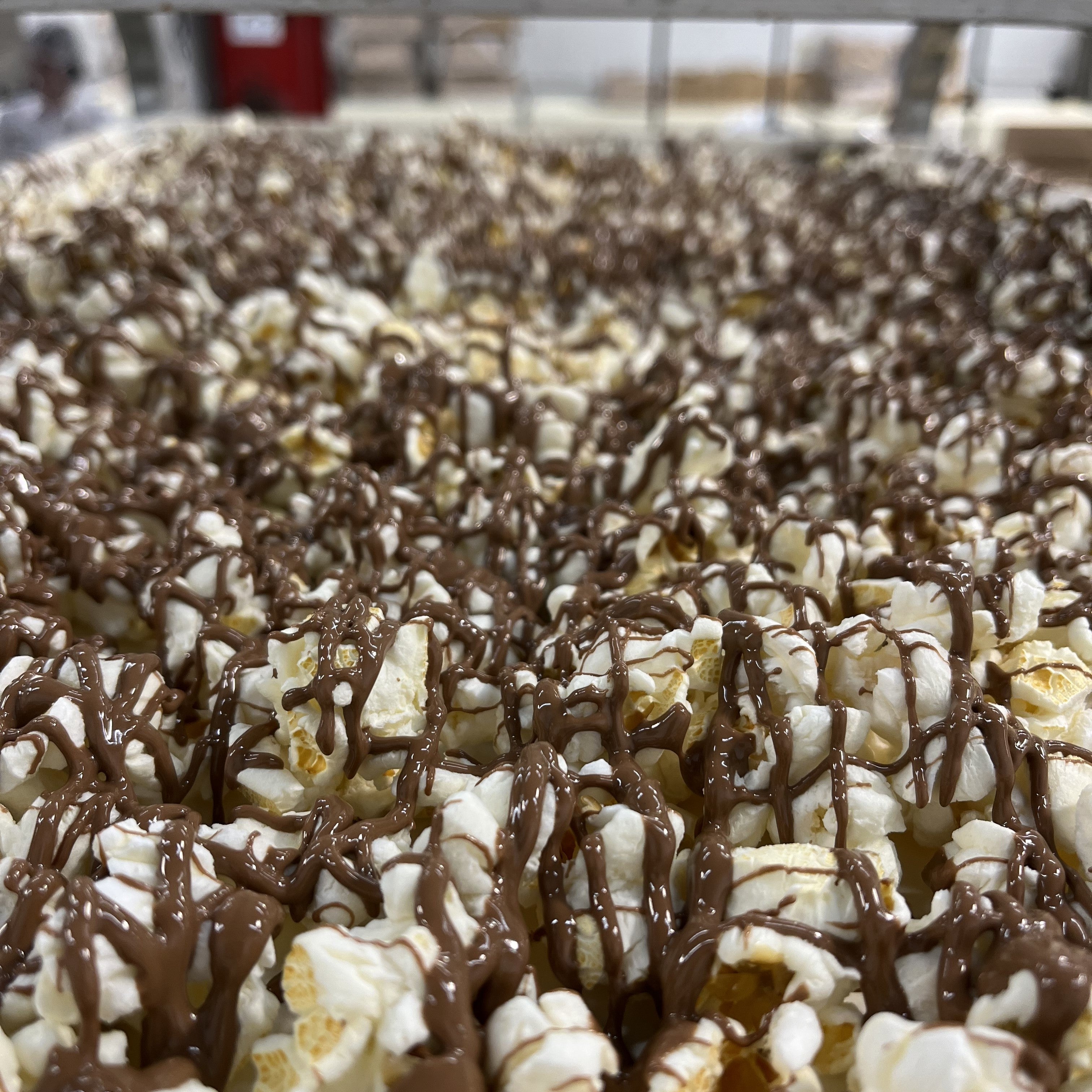 Summer in a chocolate factory