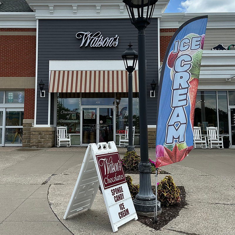 watson's rochester victor
